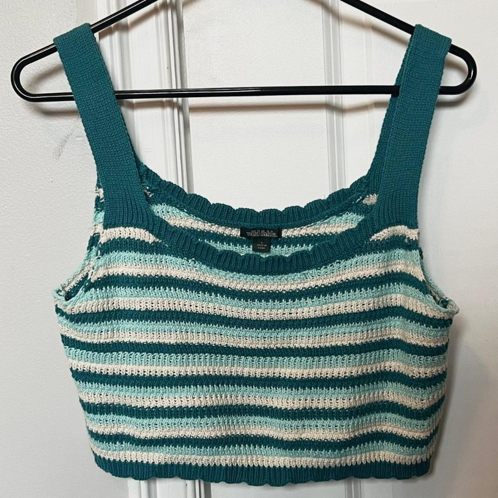 ★ Wild Fable blue and white striped crochet top